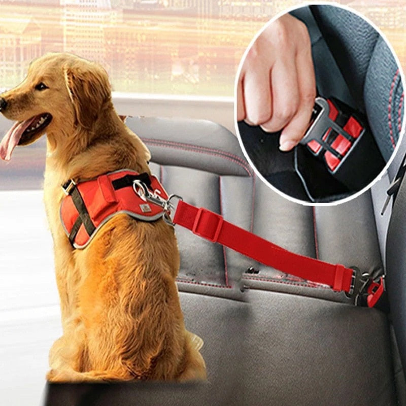 Cinto Guard - Para Cães e Gatos