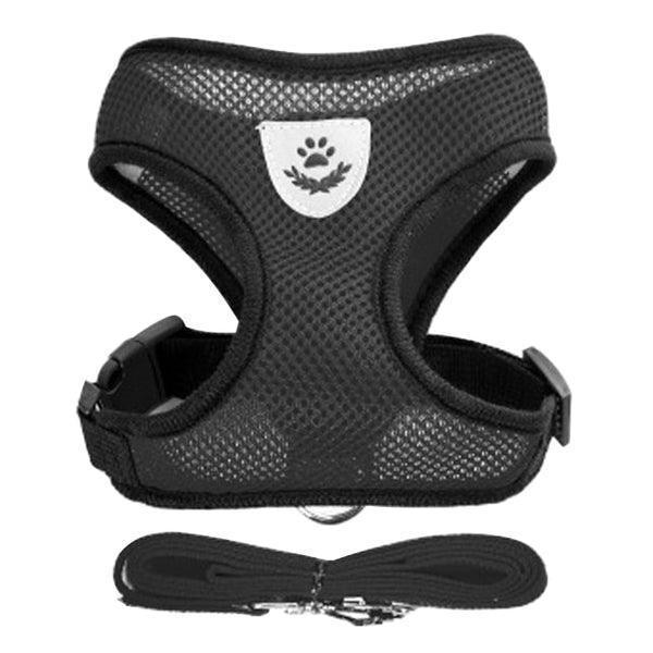 Coleira Peitoral para Gato com Guia - legab.shopping